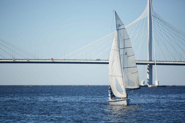 Quelles sont les meilleures pratiques pour voyager en avion avec un chien ?