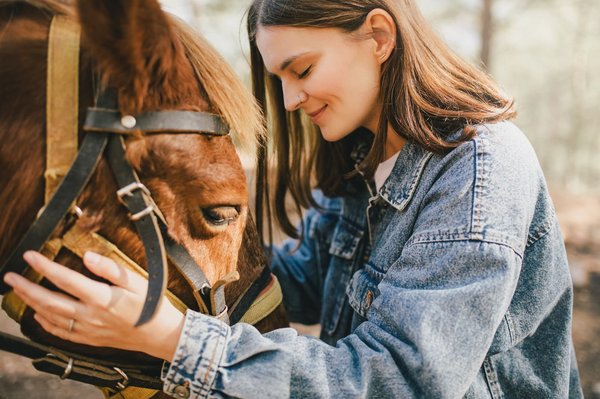 Planifier une cure de drainage pour le bon fonctionnement de l'organisme de votre cheval